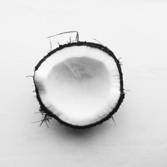 Going Loco for the Coco!