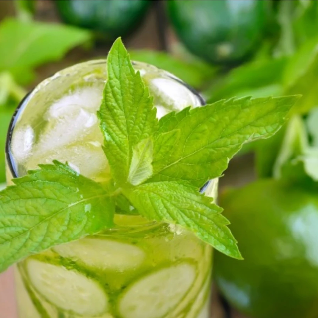 Healthy Version of The Starbucks Cool Lime Refresher