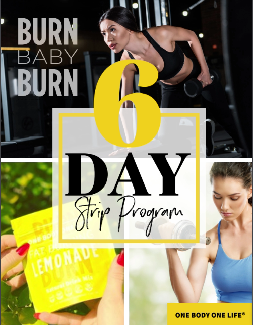 6 Day Strip Program eBook