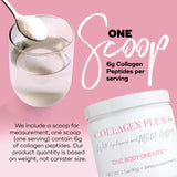 Collagen Plus + with Hyaluronic Acid, MSM, and CoQ10